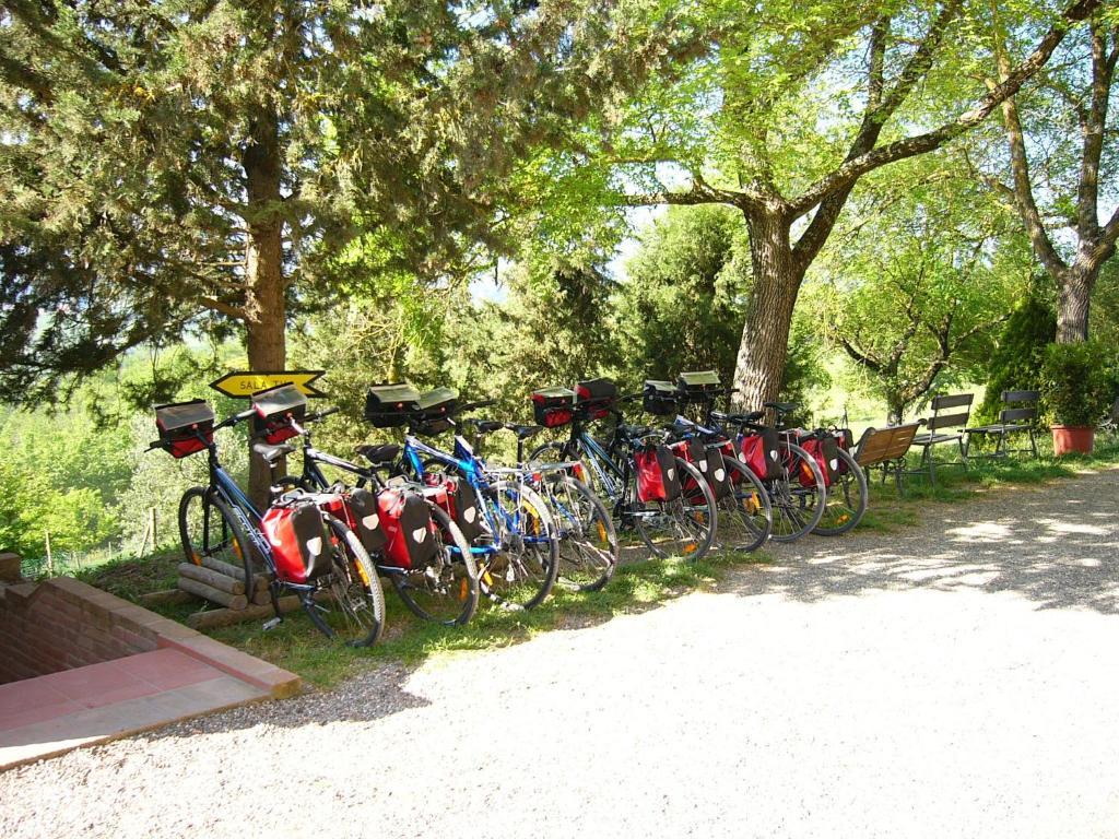 Fattoria Pieve A Salti Vila Buonconvento Exterior foto