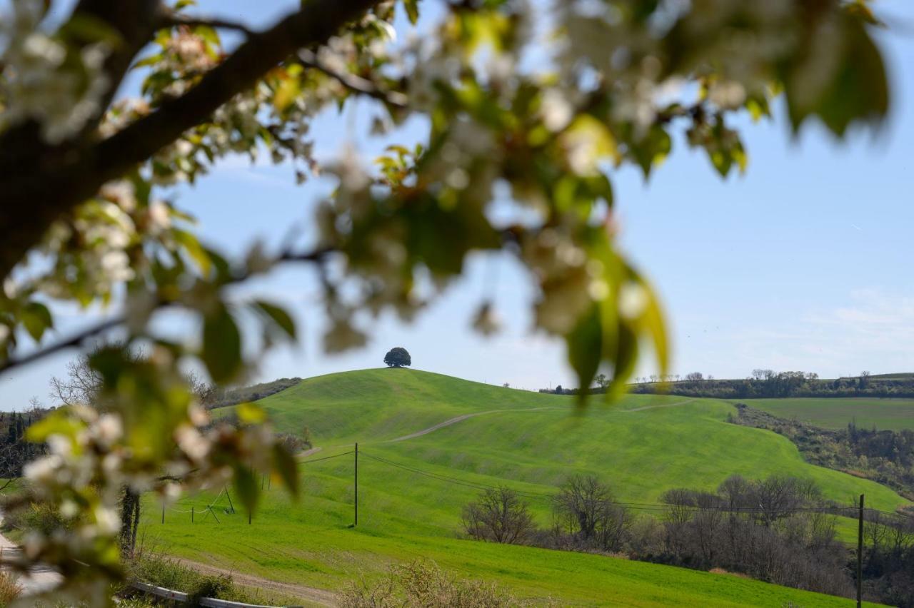 Fattoria Pieve A Salti Vila Buonconvento Exterior foto